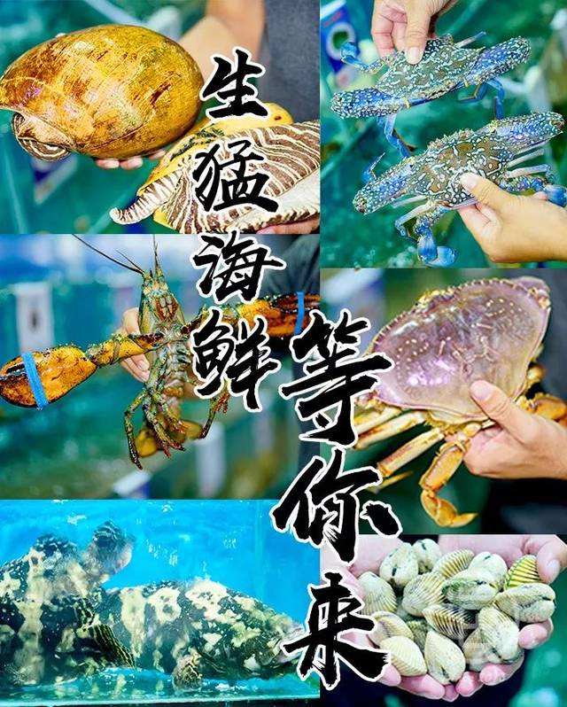 中國大部分的海鮮都是從代發(fā)貨這里批發(fā)？