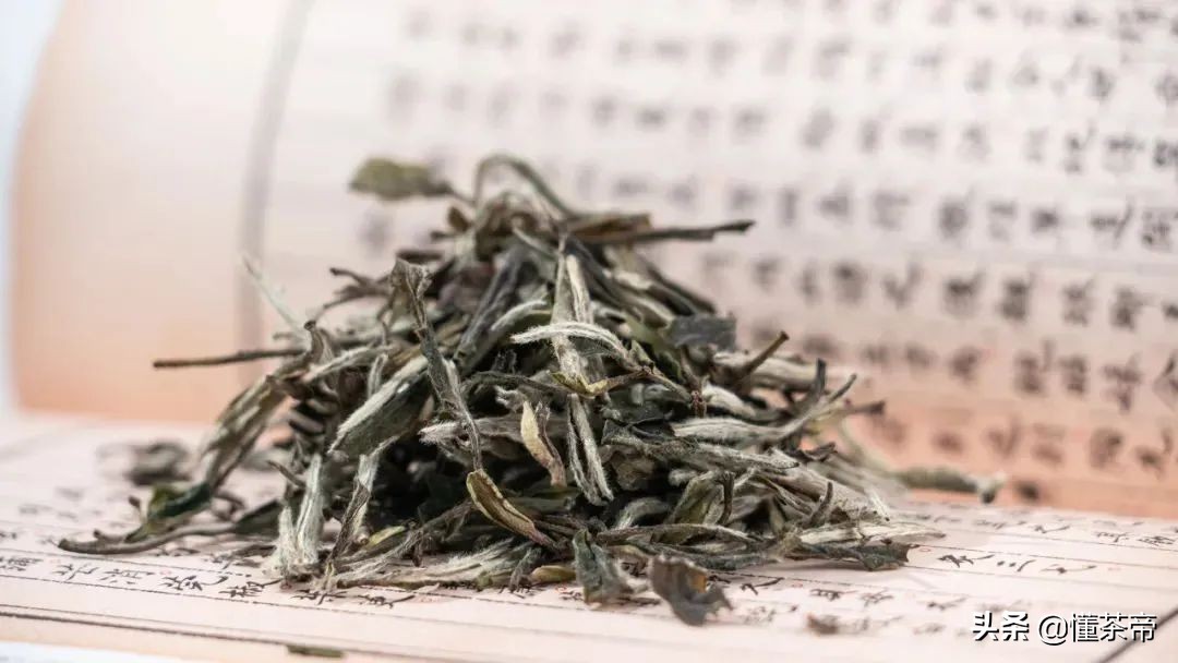 六大茶類代表名茶有哪些？喝過三款以上才稱得上大神