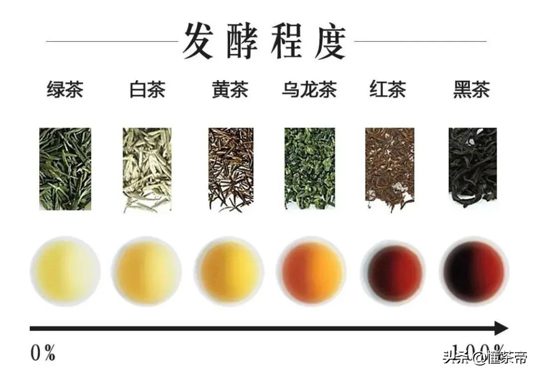 中國名茶有哪些？中國有哪些有名的茶品種？