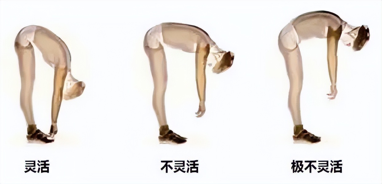 最簡(jiǎn)單的長(zhǎng)壽動(dòng)作（有助于長(zhǎng)壽的簡(jiǎn)單動(dòng)作）