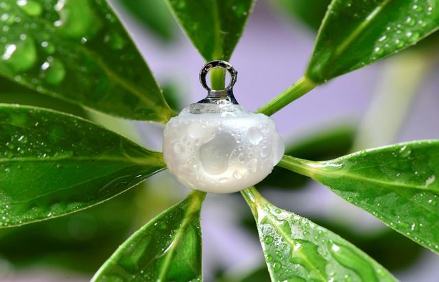 紐扣助手下載（紐扣花樣畸形）