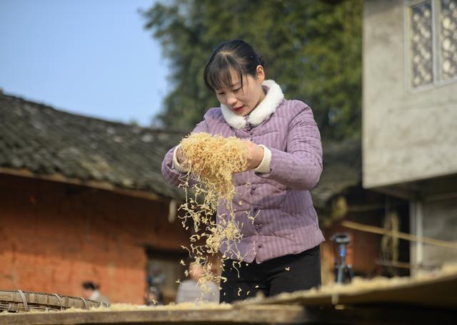 美美淘品溫嶺女鞋一件代發(fā)開山網(wǎng)（美美淘品溫嶺女鞋一件代發(fā)豆豆鞋）