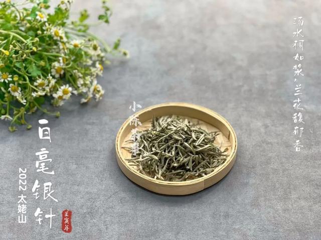 白茶女裝屬于哪個(gè)檔次高（白茶是什么檔次）