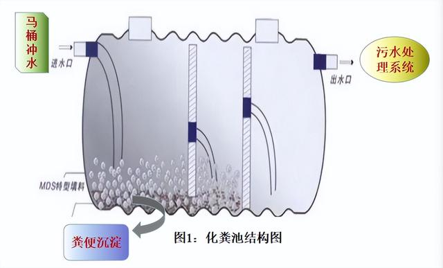 胰酪大豆胨怎么讀，胨怎么讀音？