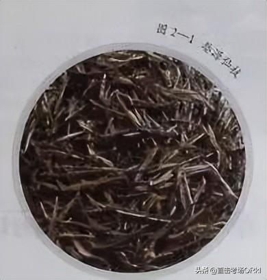 海浮石產(chǎn)自哪里，浮石是哪里？