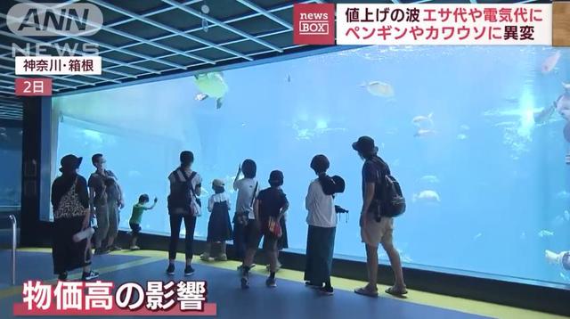 日生高級(jí)水族箱，日升水族箱廠家官網(wǎng)？