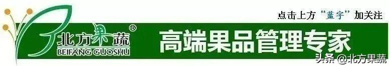 果樹苗批發(fā)基地三年苗各種苗大全價格，哪里有果樹苗批發(fā)基地？