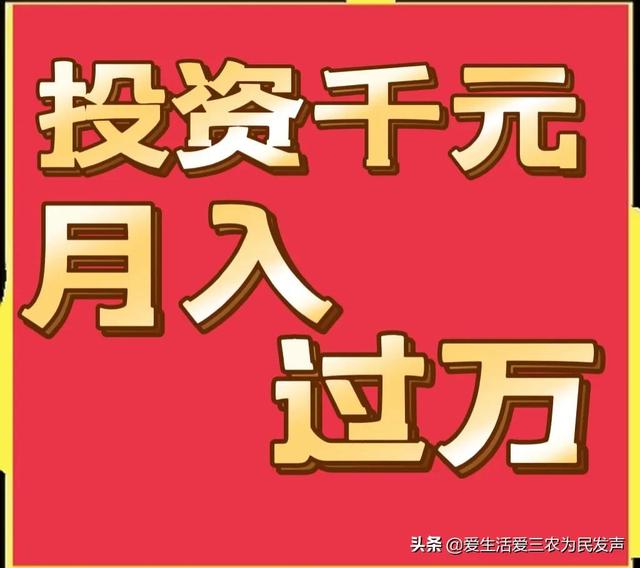 跑江湖地?cái)傂庐a(chǎn)品，跑江湖地?cái)傂庐a(chǎn)品怎么做