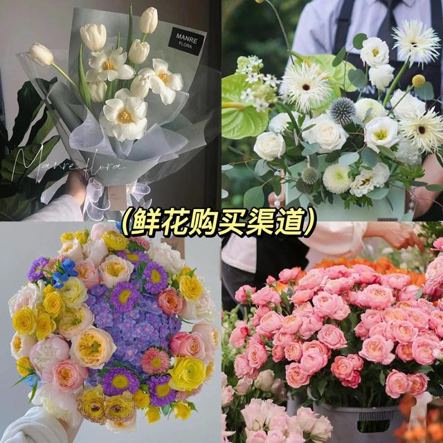 成都批發(fā)鮮花市場進貨渠道在哪里，成都鮮花進貨渠道