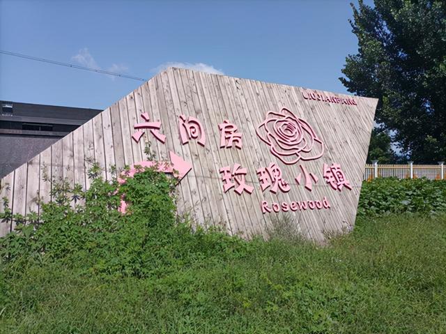 沈陽花卉批發(fā)基地在哪里，沈陽花卉批發(fā)基地在哪里??？