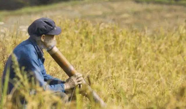 批發(fā)各種煙絲一斤多少錢，批發(fā)各種煙絲一斤多少錢一包？