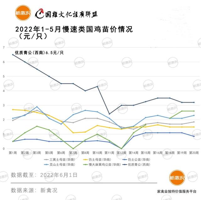 土雞苗批發(fā)市場在哪里，土雞苗批發(fā)市場在哪里的？