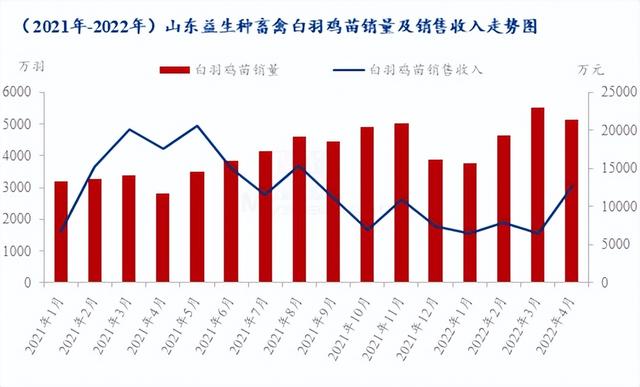 種禽龍頭4月銷售收入大幅上漲，白羽雞苗5月市場行情急轉(zhuǎn)直下