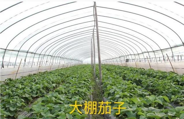 齊齊哈爾批發(fā)衣服在哪里進(jìn)貨便宜，齊齊哈爾批發(fā)衣服的地方？