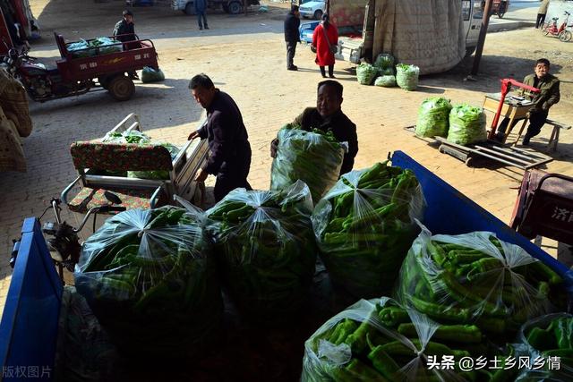 市場賣青菜一天賺多少錢合適，菜市場賣青菜一年能賺多少錢？