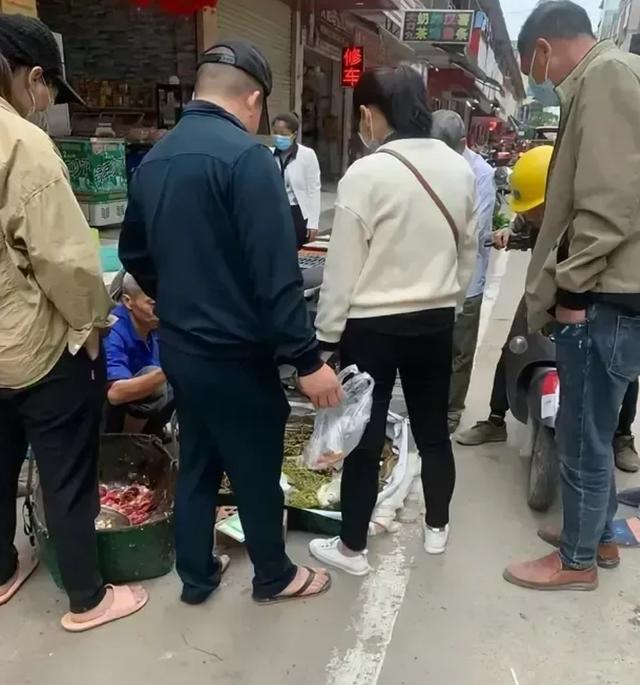 水草批發(fā)市場進貨渠道在哪里，水草商家進貨渠道？