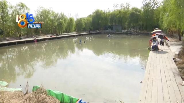 淘寶海帶路亞是正品嗎，淘寶上的貨源？