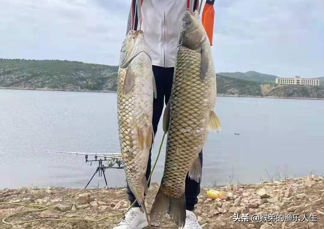 德州釣組釣法，德州釣組控餌手法？