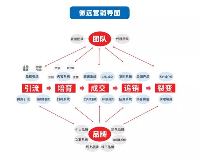 微商正規(guī)膏藥都有哪家，微商正規(guī)膏藥都有哪家店？