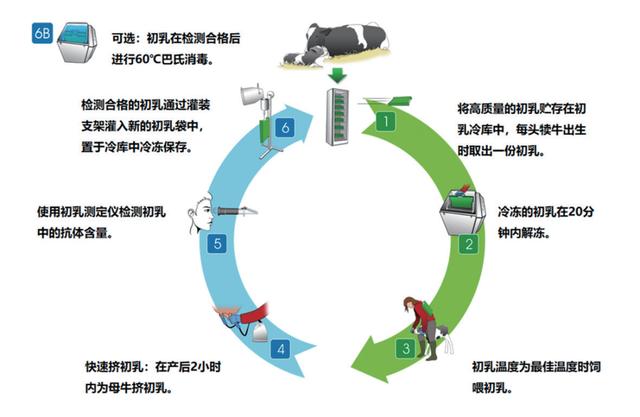 淘寶拼多多熱銷犢牛服貨源拿貨是真的嗎可信嗎，淘寶上賣牛犢是真的嗎？