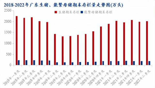 被玩壞的生豬行業(yè)_摸不透的廣東市場？